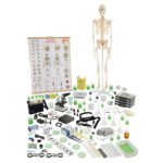 CONJUNTO DE BIOLOGÍA B PARA 4 GRUPOS