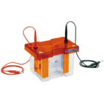 ELECTROFORESIS DE PROTEÍNAS